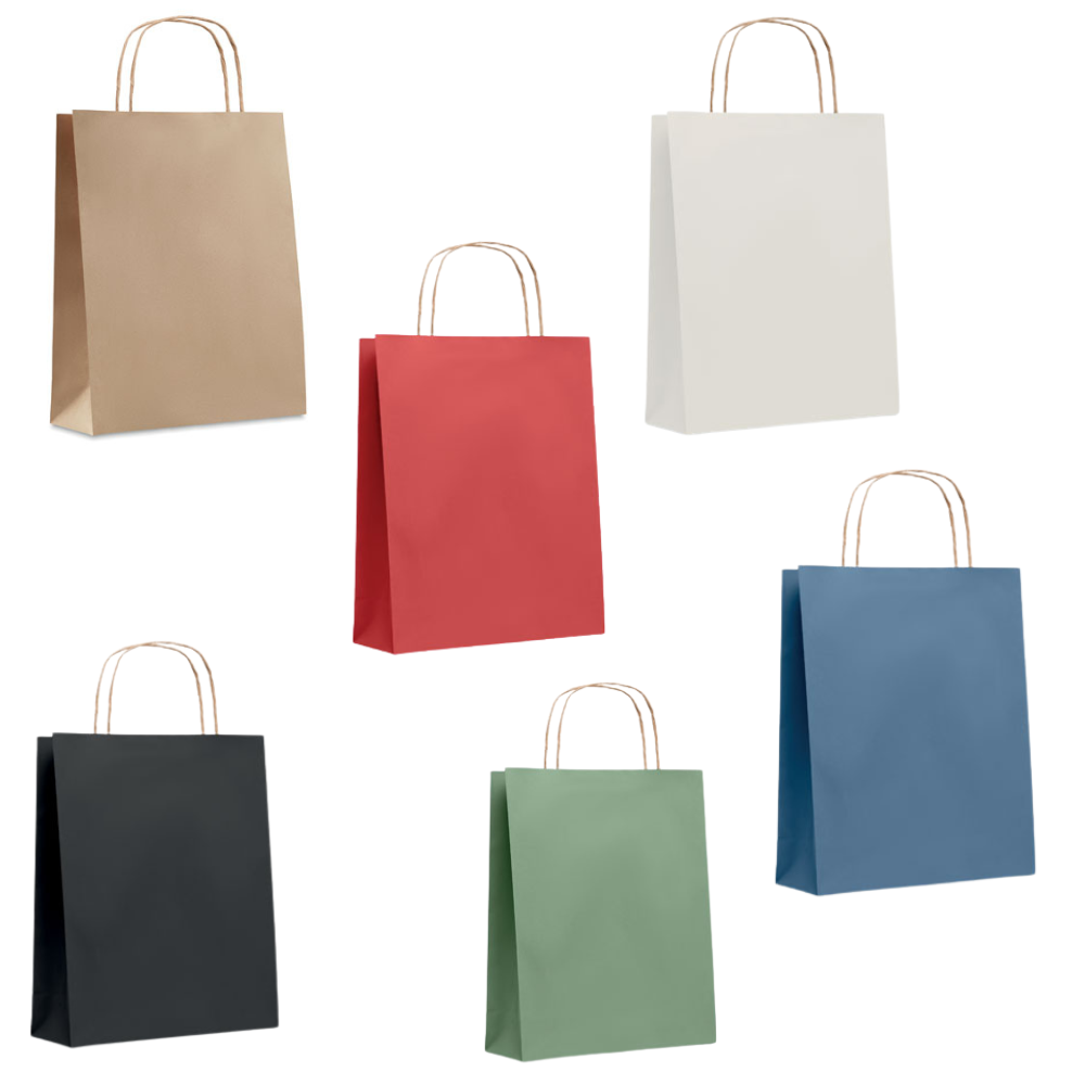 Small Paper Gift Bag - 18 x 8 x 21cm